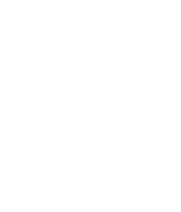 TIKTOK SHOP